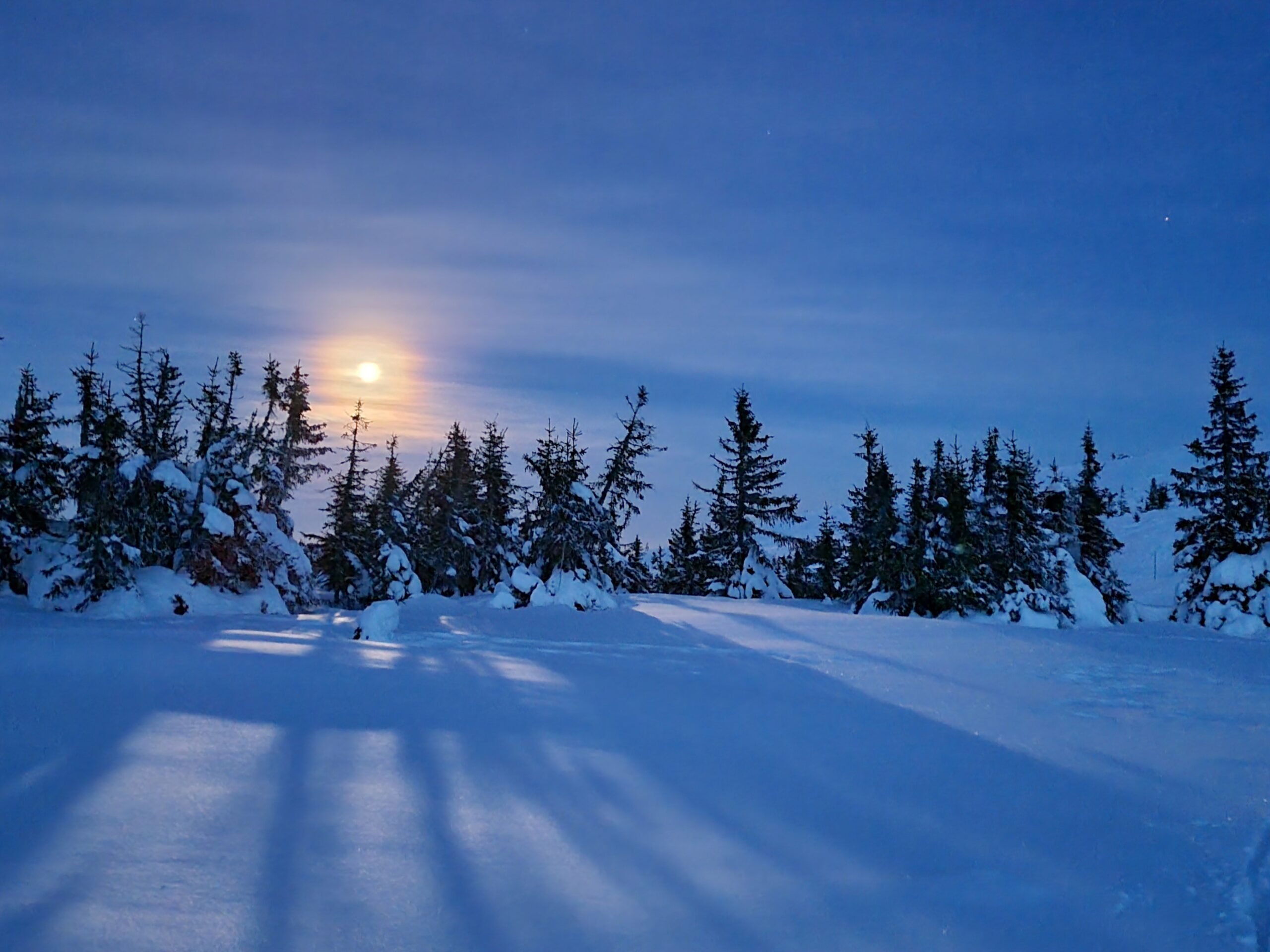 Nytt år, nye muligheter