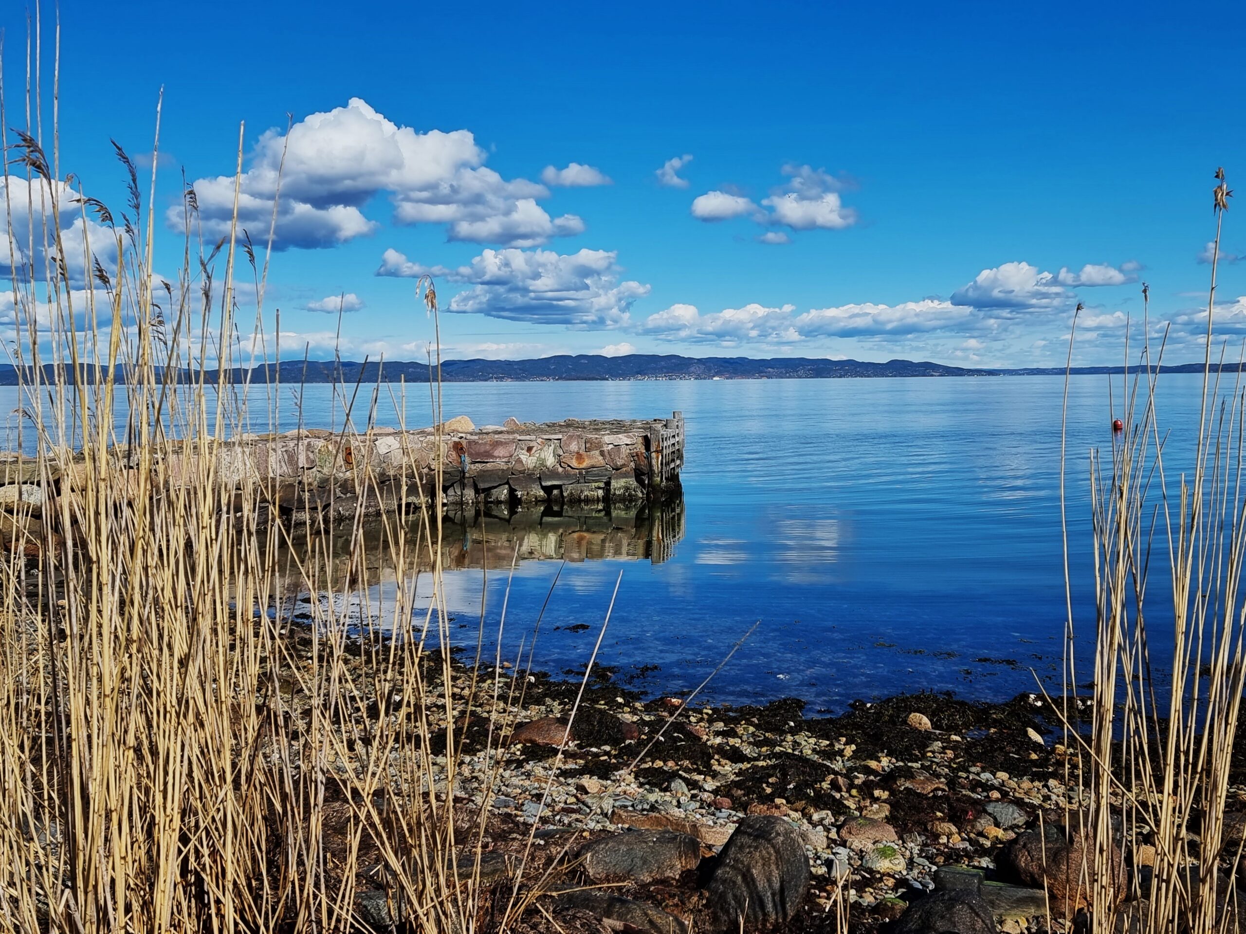 Søk om støtte til fagutvikling
