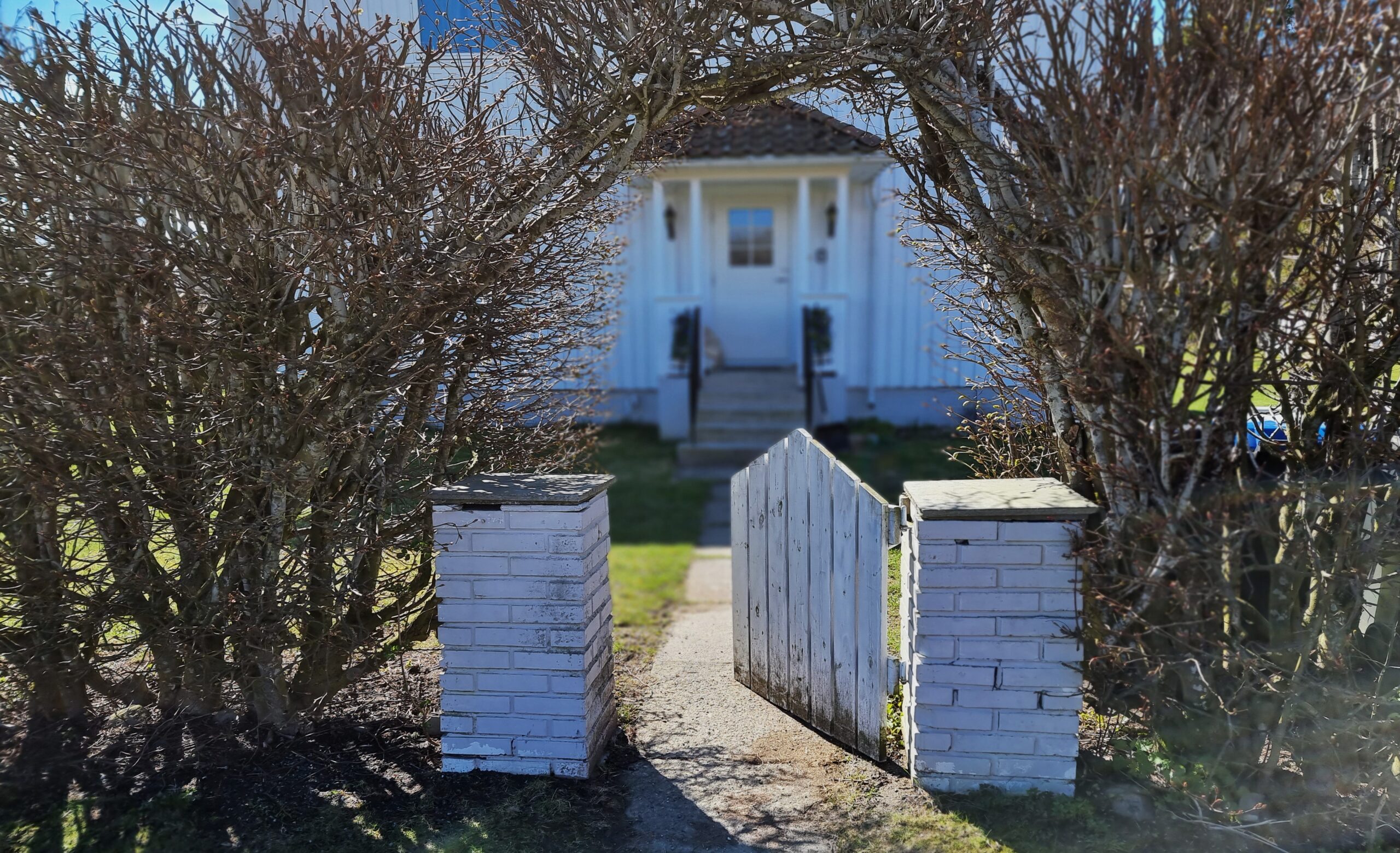 Når chatboten blir samtalepartner